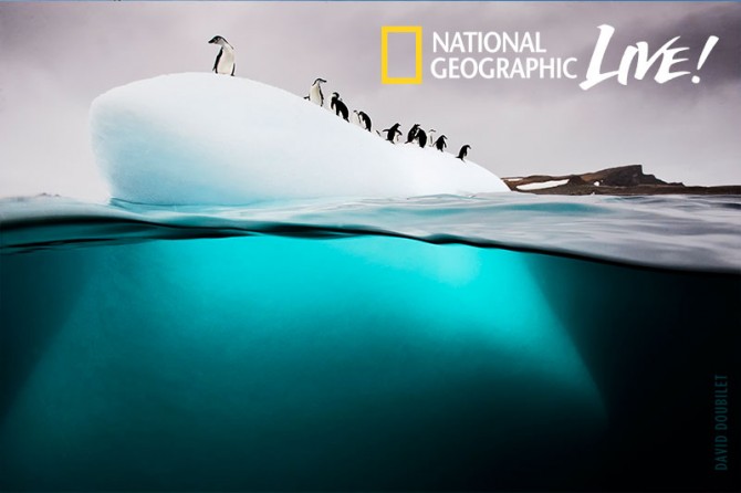 Penguins-on-ice-floe,-Antarctica_CR-David-Doubilet