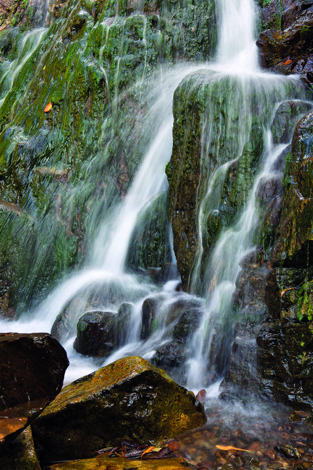 Canon 5d Mark III, 45mm, 1/2s, f/13, ISO 50