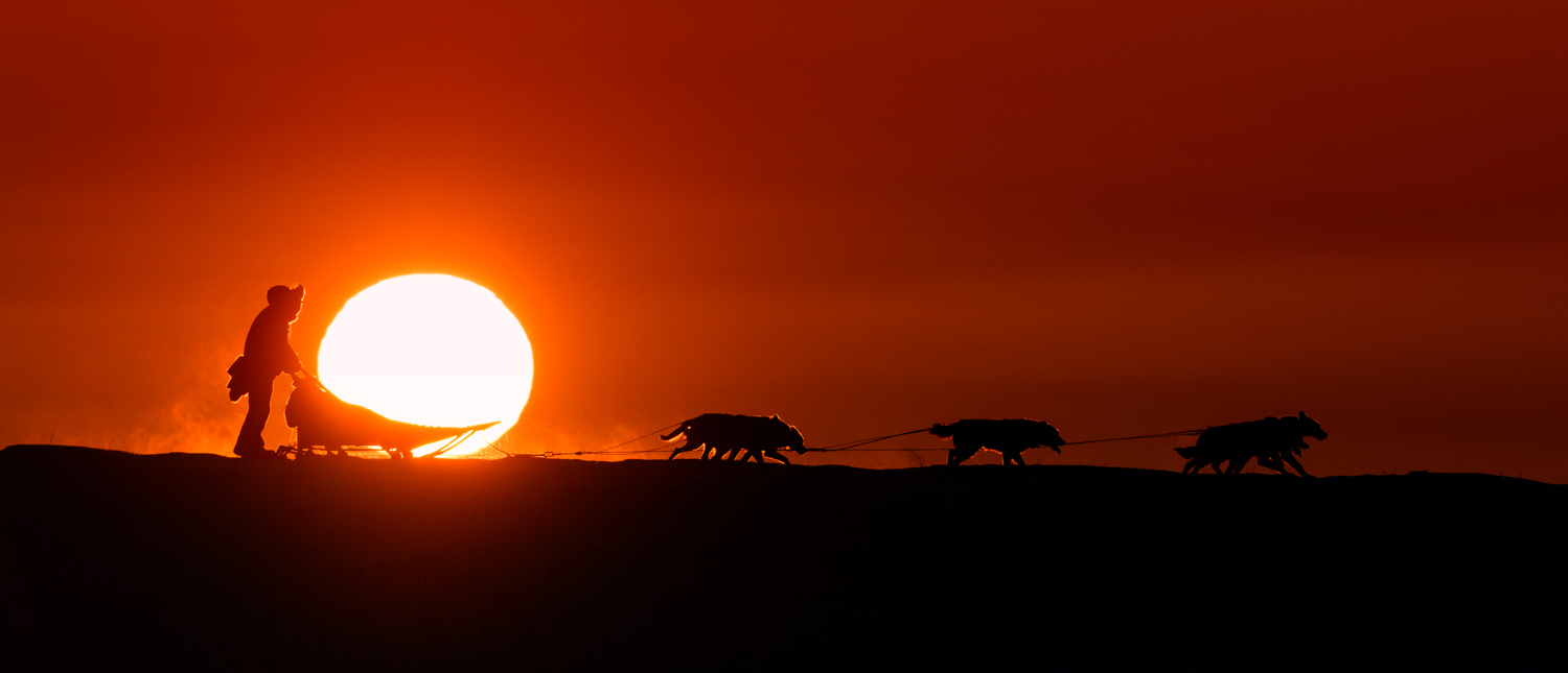Jon Korto mushing his dog team at sunset, Galena;&nbsp;Nikon D800E, 500mm, f/9, 1/2000s, ISO 320