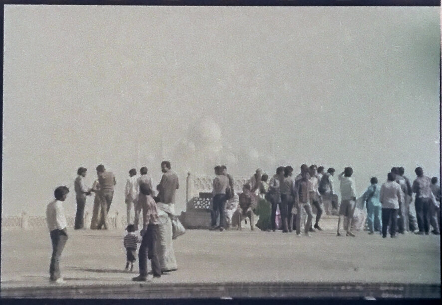 C-41 SCANNED USING CAMERA+ ON MACRO SETTING THEN BALANCED IN ADOBE LIGHTROOM
