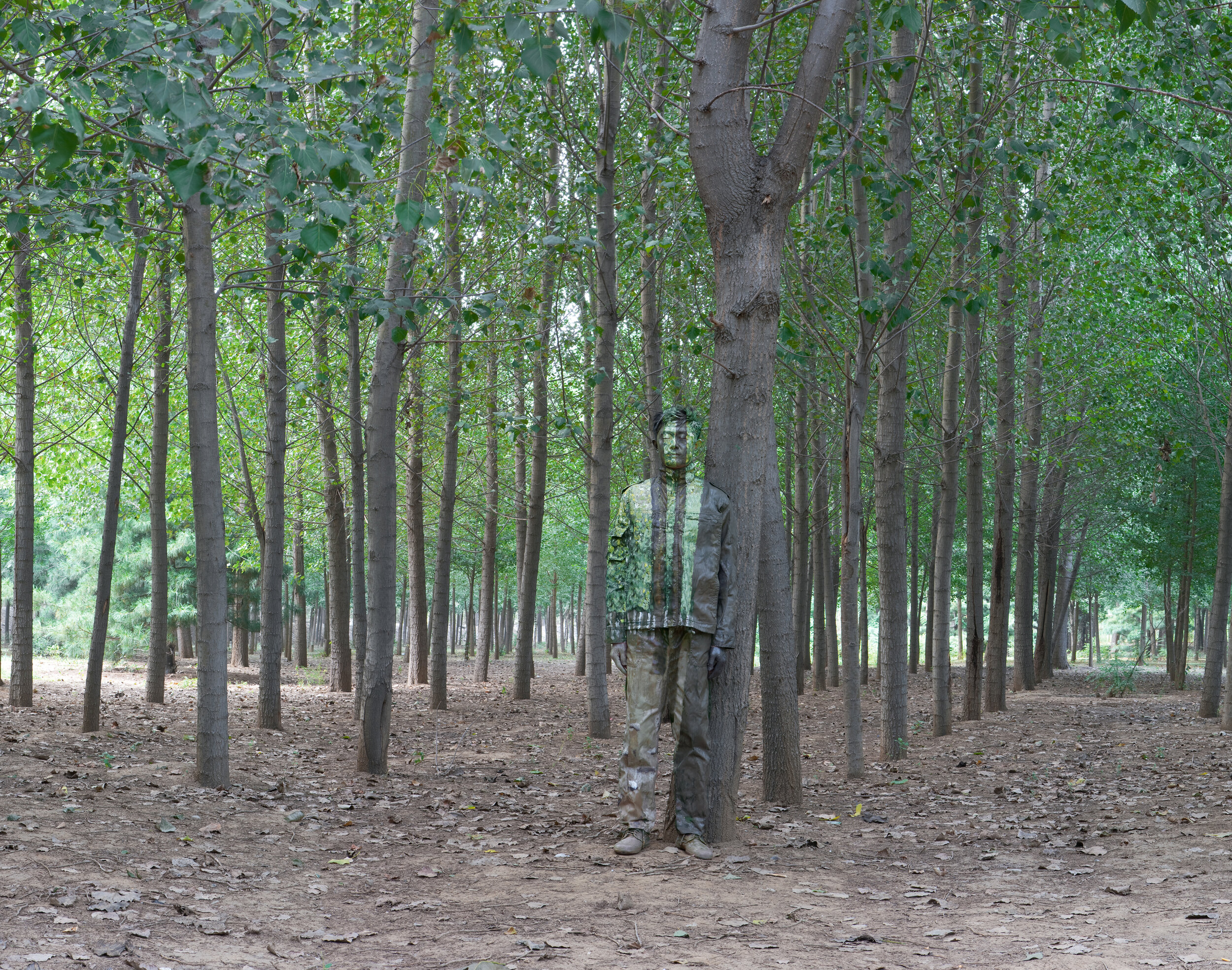 Liu Bolin, In the Woods, Camouflage