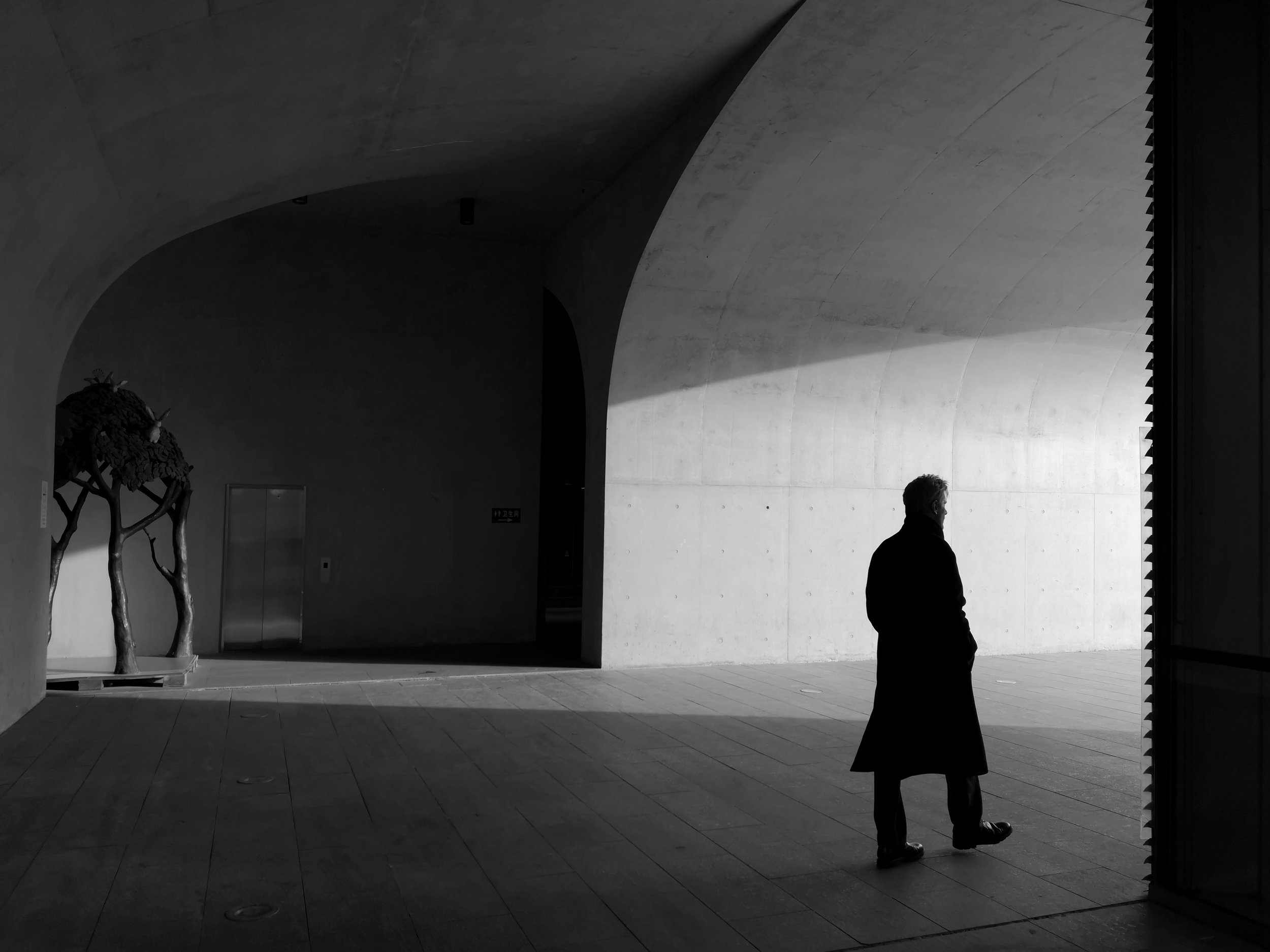 LIGHT AND SHADOW 3.jpg