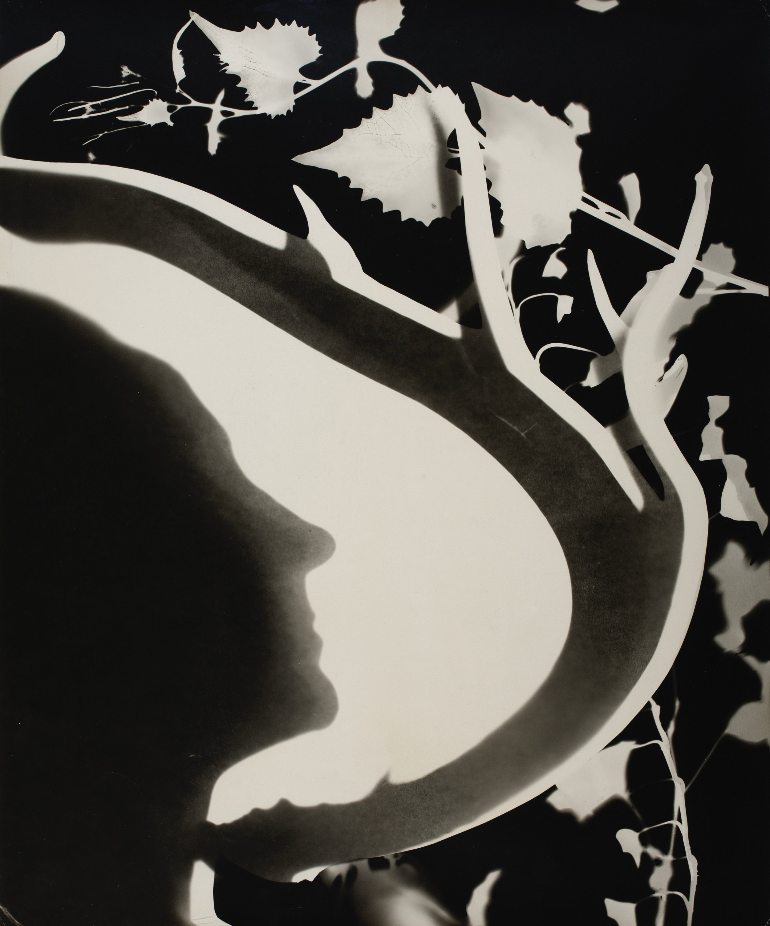 Len Lye, Georgia O’Keeffe, 1947, gelatin silver print, 42.9x35.9cm, Len Lye Foundation Collection, Govett Brewster Art Gallery