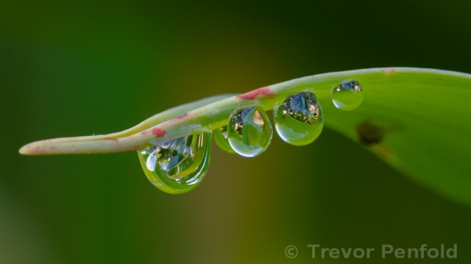 Droplets